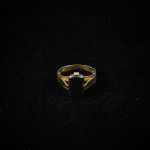 1722 2134 Ring